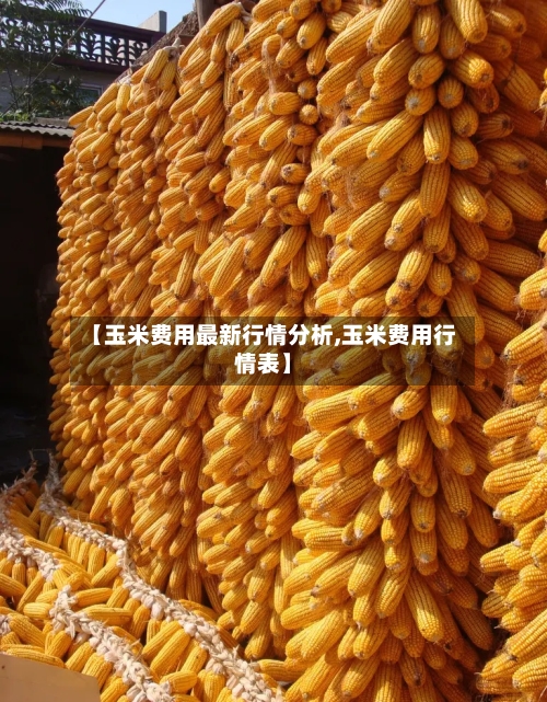 【玉米费用最新行情分析,玉米费用行情表】-第1张图片