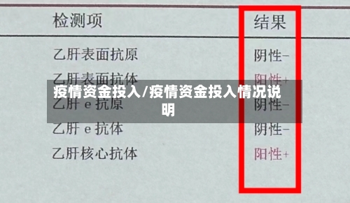 疫情资金投入/疫情资金投入情况说明-第1张图片