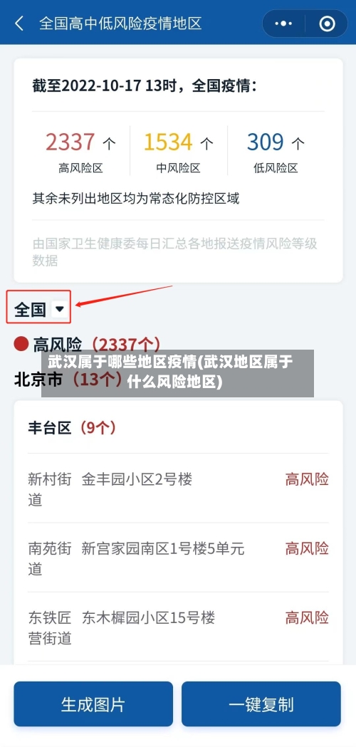 武汉属于哪些地区疫情(武汉地区属于什么风险地区)-第2张图片