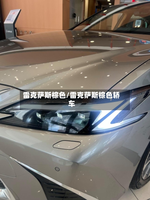 雷克萨斯棕色/雷克萨斯棕色轿车-第2张图片