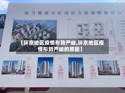 【环京地区疫情形势严峻,环京地区疫情形势严峻的原因】-第3张图片