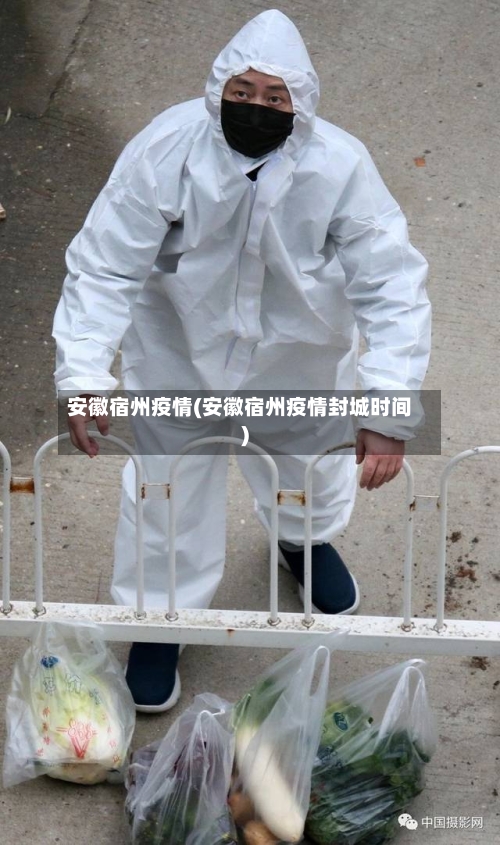 安徽宿州疫情(安徽宿州疫情封城时间)-第2张图片