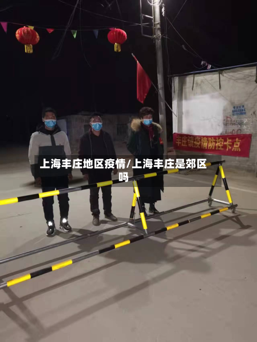 上海丰庄地区疫情/上海丰庄是郊区吗-第1张图片