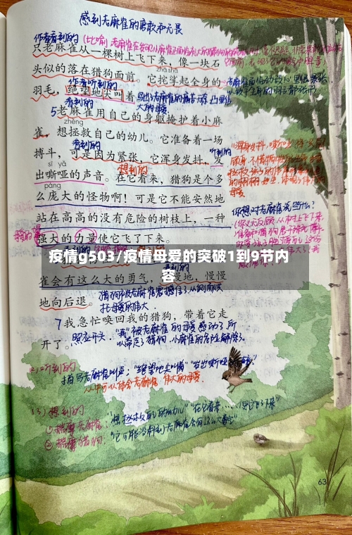 疫情g503/疫情母爱的突破1到9节内容-第2张图片