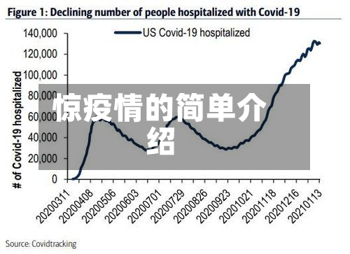 惊疫情的简单介绍-第3张图片