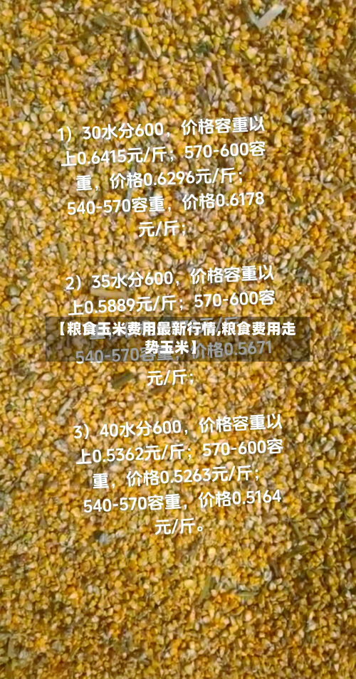 【粮食玉米费用最新行情,粮食费用走势玉米】-第2张图片