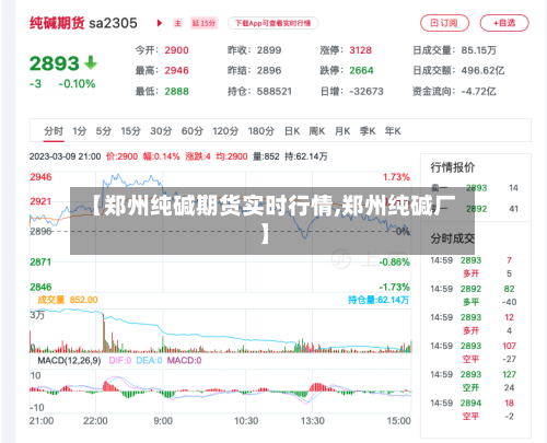 【郑州纯碱期货实时行情,郑州纯碱厂】-第3张图片
