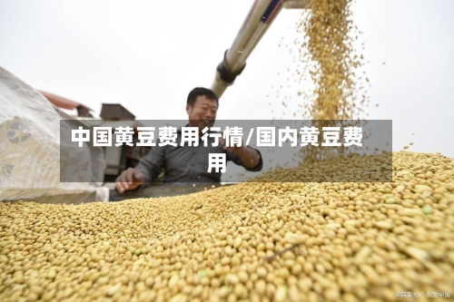 中国黄豆费用行情/国内黄豆费用-第1张图片