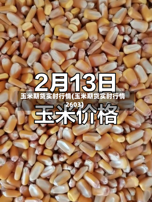 玉米期货实时行情(玉米期货实时行情2603)-第2张图片