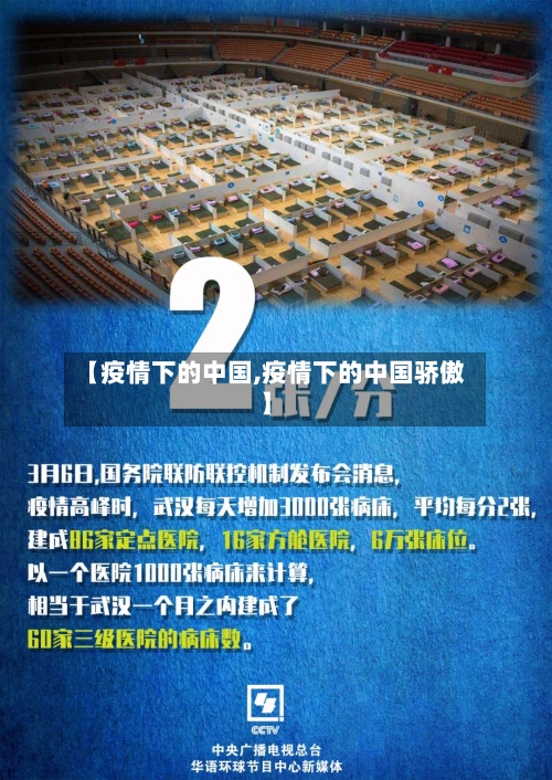 【疫情下的中国,疫情下的中国骄傲】-第3张图片