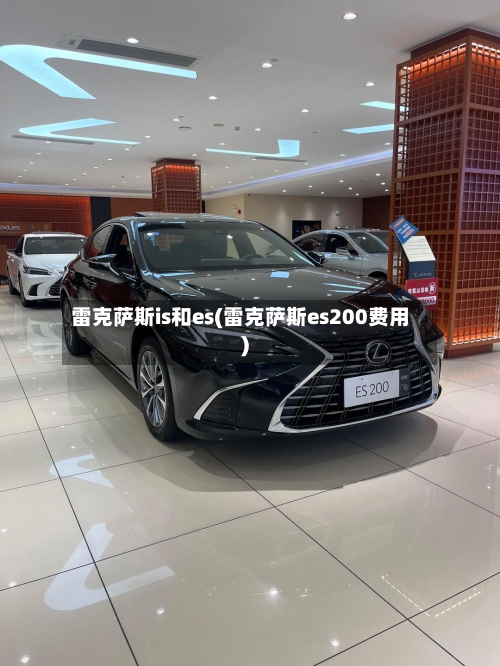 雷克萨斯is和es(雷克萨斯es200费用)-第3张图片