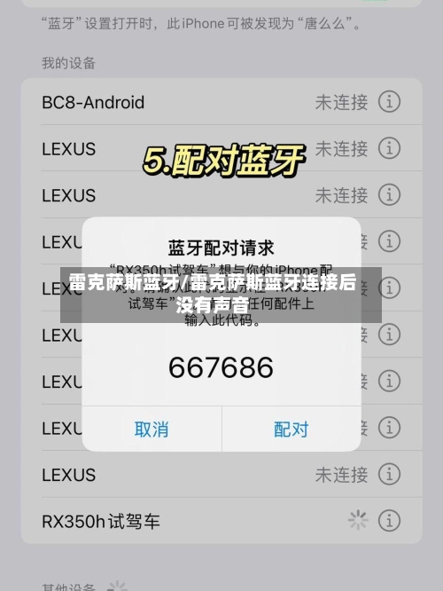 雷克萨斯蓝牙/雷克萨斯蓝牙连接后没有声音-第3张图片