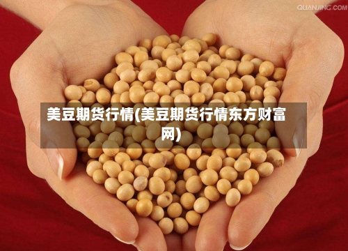 美豆期货行情(美豆期货行情东方财富网)-第1张图片