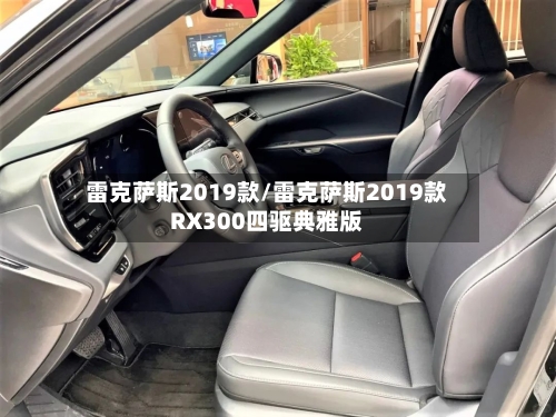 雷克萨斯2019款/雷克萨斯2019款RX300四驱典雅版-第2张图片