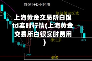 上海黄金交易所白银td实时行情(上海黄金交易所白银实时费用)-第1张图片