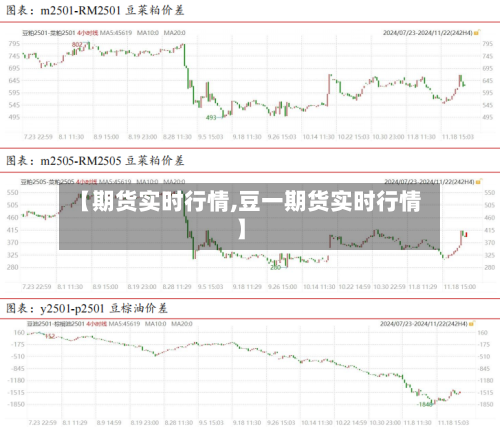 【期货实时行情,豆一期货实时行情】-第2张图片