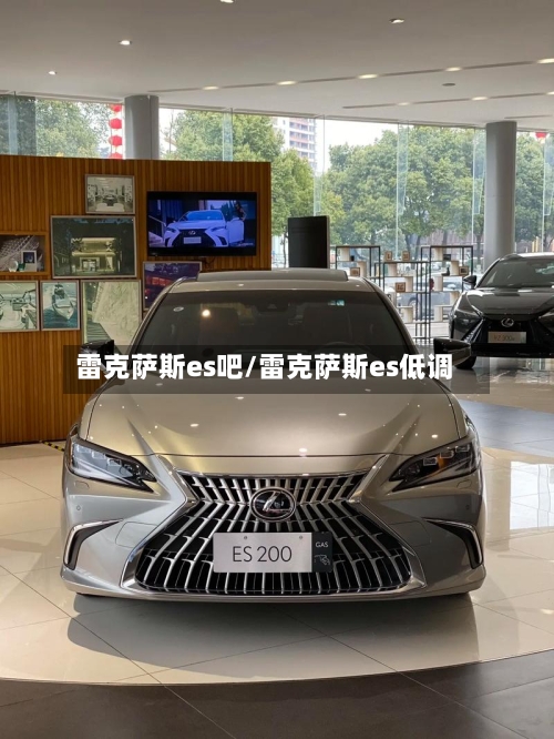 雷克萨斯es吧/雷克萨斯es低调-第2张图片