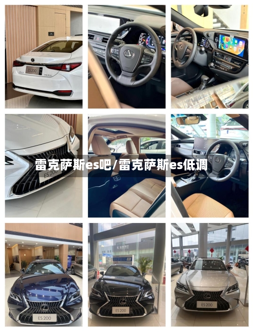 雷克萨斯es吧/雷克萨斯es低调-第1张图片