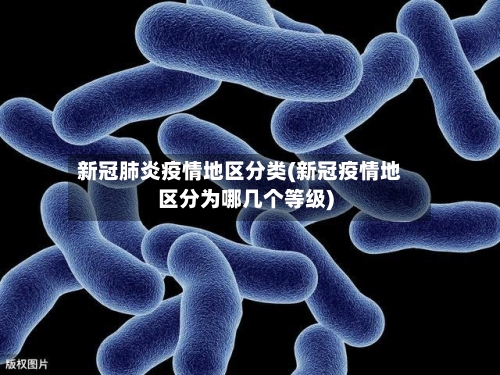 新冠肺炎疫情地区分类(新冠疫情地区分为哪几个等级)-第3张图片