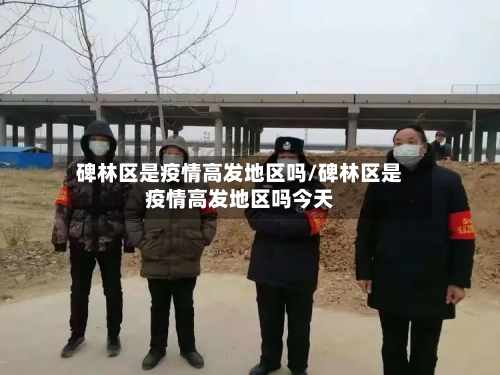 碑林区是疫情高发地区吗/碑林区是疫情高发地区吗今天-第1张图片