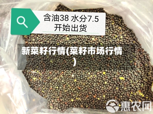 新菜籽行情(菜籽市场行情)-第3张图片