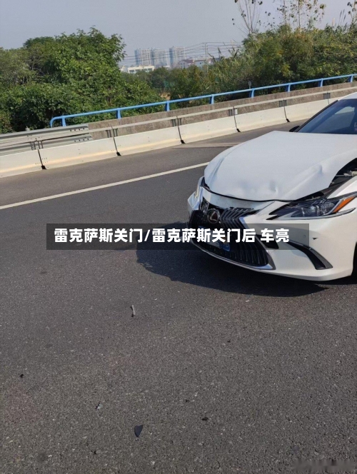 雷克萨斯关门/雷克萨斯关门后 车亮-第2张图片