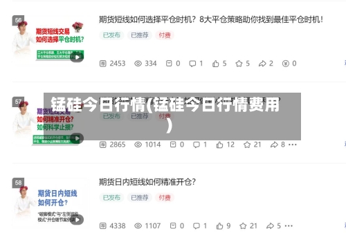 锰硅今日行情(锰硅今日行情费用)-第1张图片