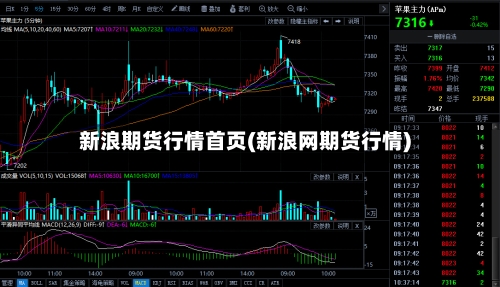 新浪期货行情首页(新浪网期货行情)-第1张图片