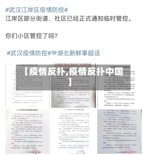【疫情反扑,疫情反扑中国】-第3张图片