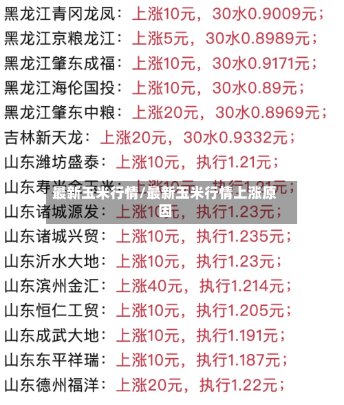 最新玉米行情/最新玉米行情上涨原因-第2张图片