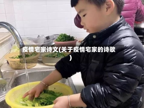 疫情宅家诗文(关于疫情宅家的诗歌)-第2张图片