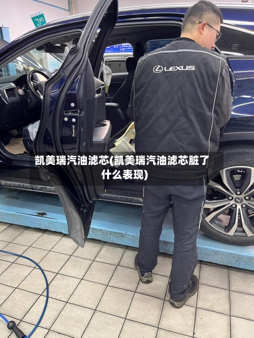 凯美瑞汽油滤芯(凯美瑞汽油滤芯脏了什么表现)-第2张图片