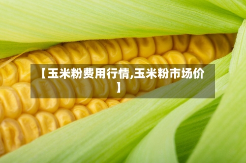 【玉米粉费用行情,玉米粉市场价】-第2张图片