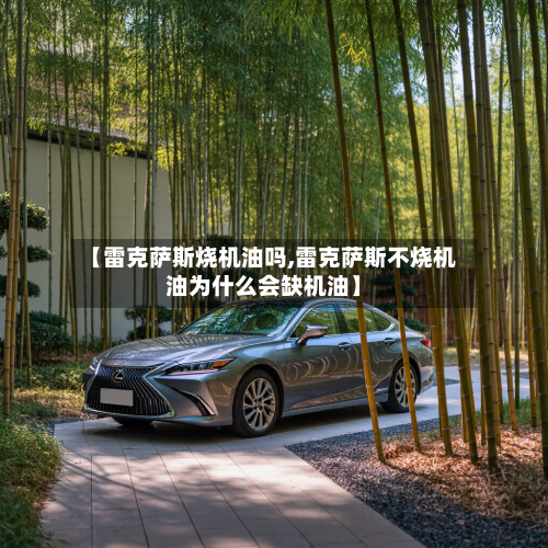 【雷克萨斯烧机油吗,雷克萨斯不烧机油为什么会缺机油】-第2张图片