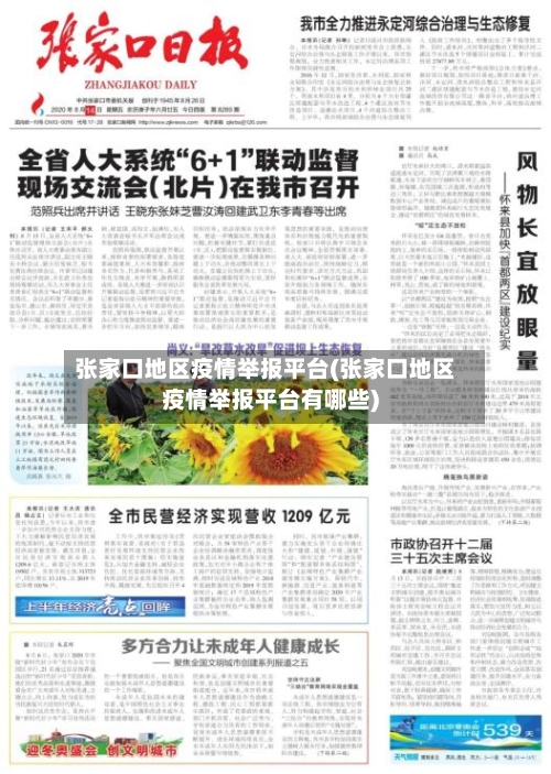 张家口地区疫情举报平台(张家口地区疫情举报平台有哪些)-第2张图片