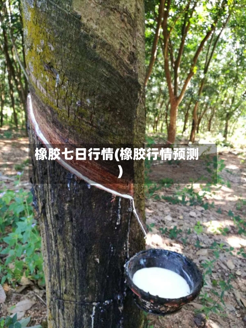 橡胶七日行情(橡胶行情预测)-第2张图片