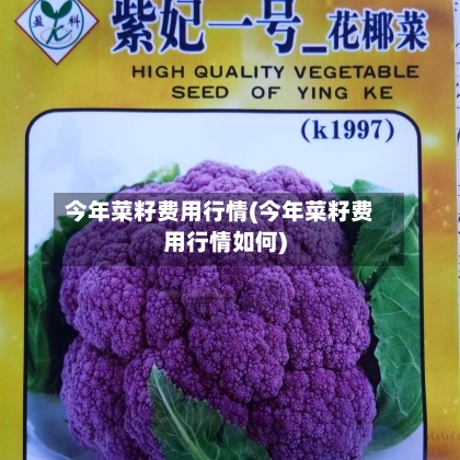 今年菜籽费用行情(今年菜籽费用行情如何)-第1张图片
