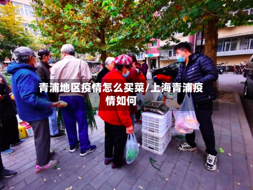 青浦地区疫情怎么买菜/上海青浦疫情如何-第1张图片