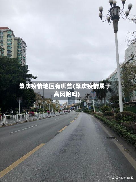 肇庆疫情地区有哪些(肇庆疫情属于高风险吗)-第3张图片