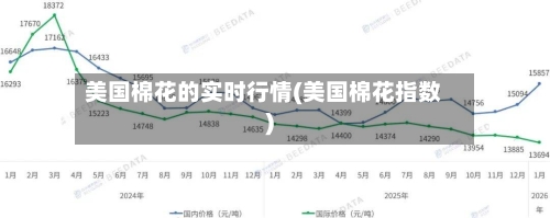 美国棉花的实时行情(美国棉花指数)-第1张图片