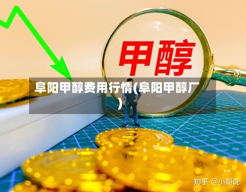 阜阳甲醇费用行情(阜阳甲醇厂)-第1张图片