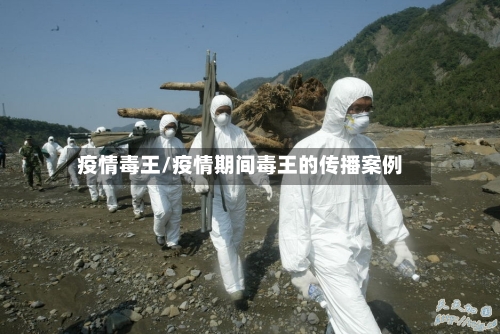 疫情毒王/疫情期间毒王的传播案例-第3张图片