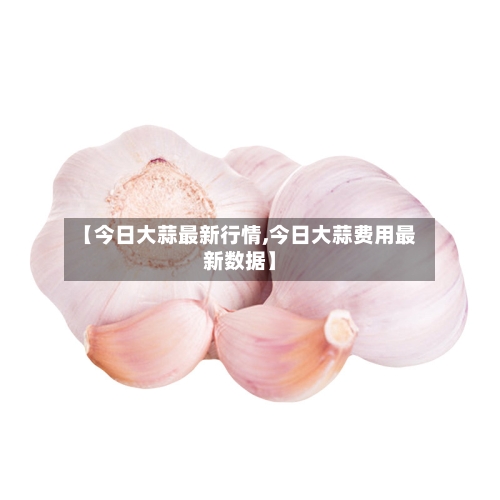 【今日大蒜最新行情,今日大蒜费用最新数据】-第1张图片