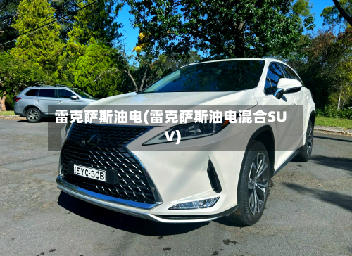 雷克萨斯油电(雷克萨斯油电混合SUV)-第3张图片