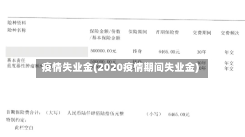 疫情失业金(2020疫情期间失业金)-第2张图片