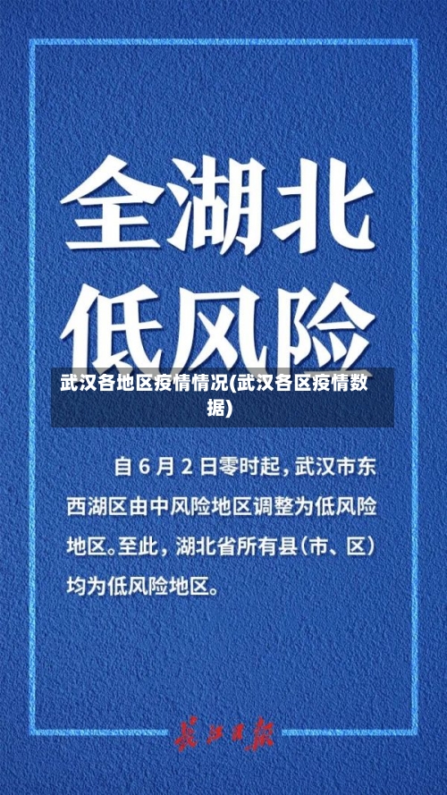 武汉各地区疫情情况(武汉各区疫情数据)-第1张图片