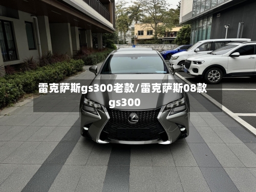 雷克萨斯gs300老款/雷克萨斯08款gs300-第1张图片