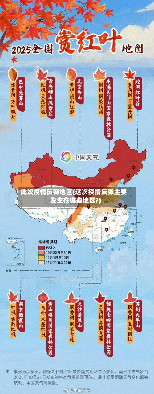 此次疫情反弹地区(这次疫情反弹主要发生在哪些地区?)-第1张图片
