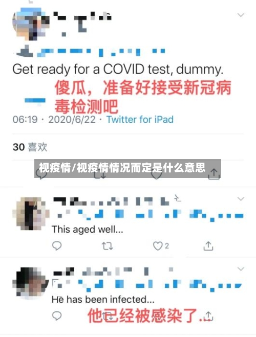 视疫情/视疫情情况而定是什么意思-第2张图片