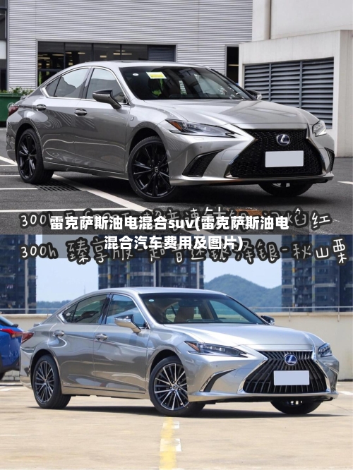 雷克萨斯油电混合suv(雷克萨斯油电混合汽车费用及图片)-第1张图片